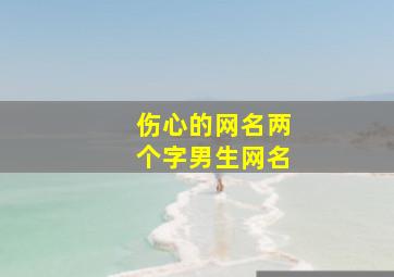 伤心的网名两个字男生网名