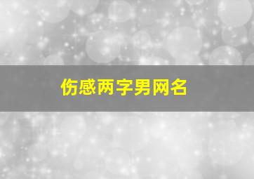 伤感两字男网名