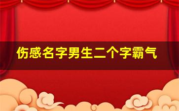 伤感名字男生二个字霸气