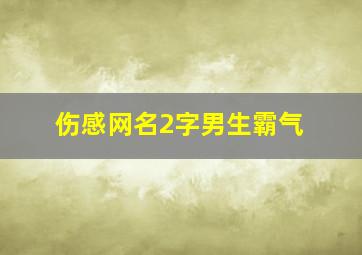 伤感网名2字男生霸气