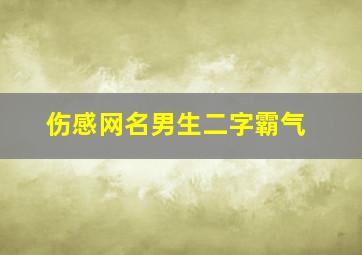 伤感网名男生二字霸气