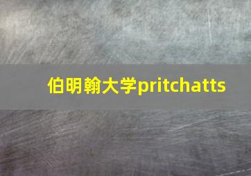 伯明翰大学pritchatts