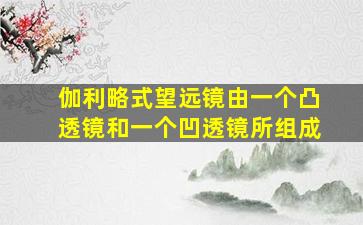 伽利略式望远镜由一个凸透镜和一个凹透镜所组成