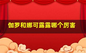 伽罗和娜可露露哪个厉害