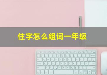 住字怎么组词一年级