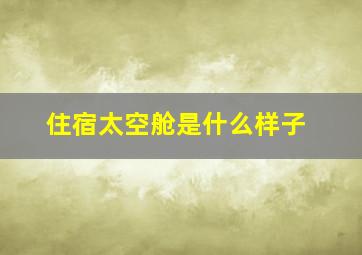 住宿太空舱是什么样子