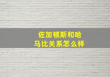 佐加顿斯和哈马比关系怎么样