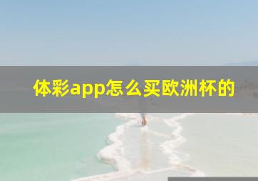 体彩app怎么买欧洲杯的