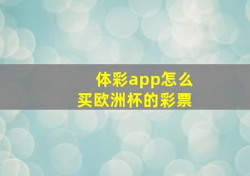 体彩app怎么买欧洲杯的彩票