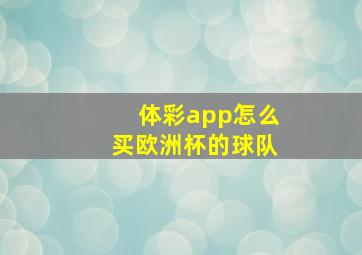 体彩app怎么买欧洲杯的球队