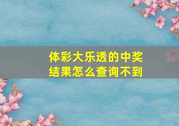 体彩大乐透的中奖结果怎么查询不到