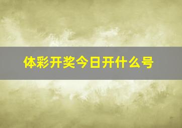 体彩开奖今日开什么号