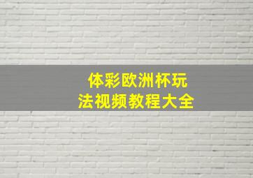 体彩欧洲杯玩法视频教程大全