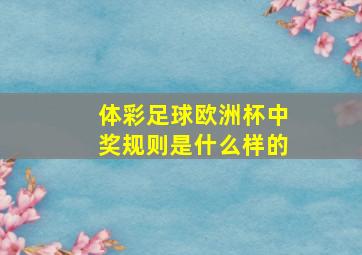 体彩足球欧洲杯中奖规则是什么样的