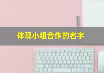 体现小组合作的名字