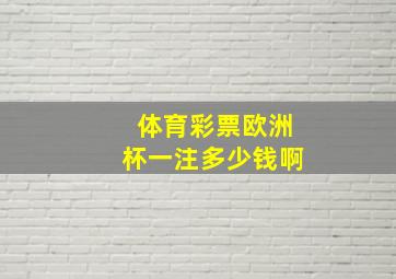 体育彩票欧洲杯一注多少钱啊