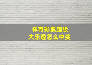 体育彩票超级大乐透怎么中奖