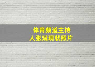 体育频道主持人张斌现状照片