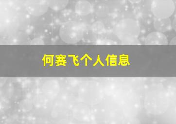 何赛飞个人信息