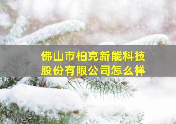 佛山市柏克新能科技股份有限公司怎么样