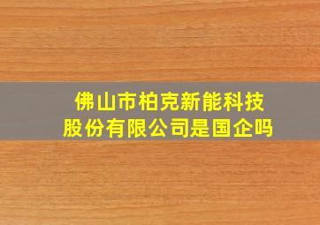 佛山市柏克新能科技股份有限公司是国企吗