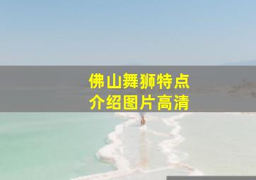 佛山舞狮特点介绍图片高清