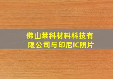 佛山莱科材料科技有限公司与印尼IC照片