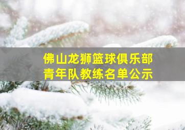 佛山龙狮篮球俱乐部青年队教练名单公示