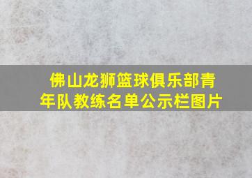 佛山龙狮篮球俱乐部青年队教练名单公示栏图片