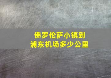 佛罗伦萨小镇到浦东机场多少公里