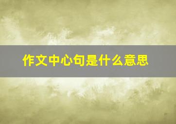 作文中心句是什么意思