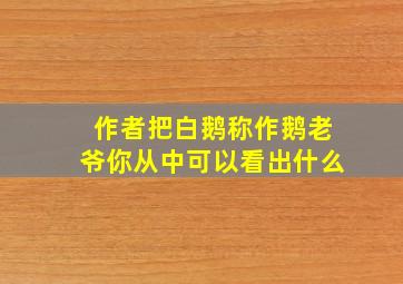 作者把白鹅称作鹅老爷你从中可以看出什么