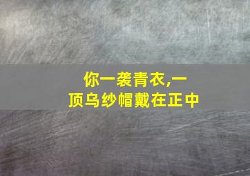 你一袭青衣,一顶乌纱帽戴在正中