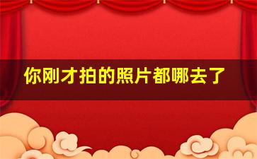 你刚才拍的照片都哪去了