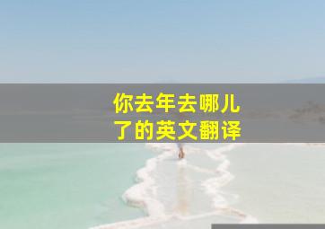 你去年去哪儿了的英文翻译