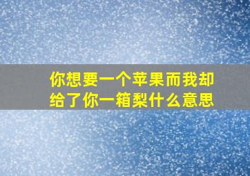 你想要一个苹果而我却给了你一箱梨什么意思