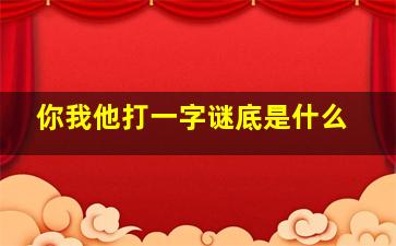 你我他打一字谜底是什么