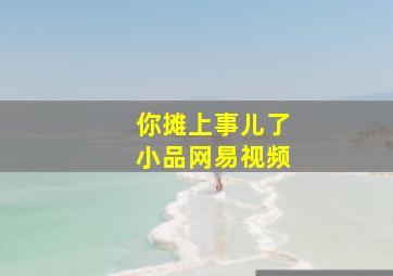 你摊上事儿了小品网易视频