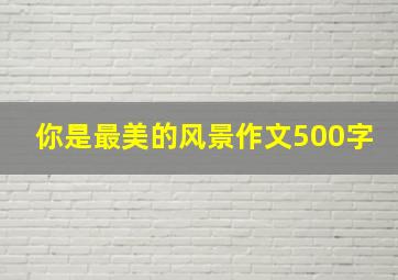 你是最美的风景作文500字