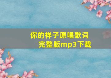 你的样子原唱歌词完整版mp3下载