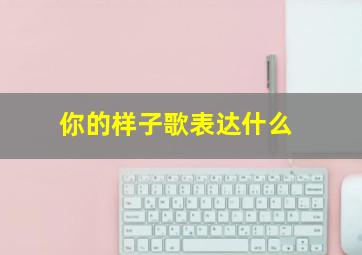 你的样子歌表达什么