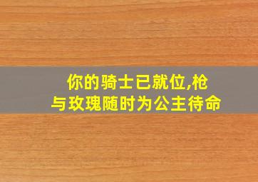 你的骑士已就位,枪与玫瑰随时为公主待命