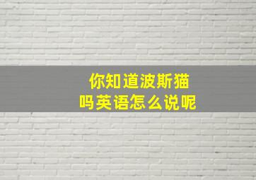 你知道波斯猫吗英语怎么说呢