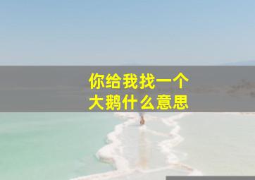 你给我找一个大鹅什么意思