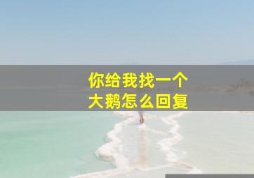 你给我找一个大鹅怎么回复