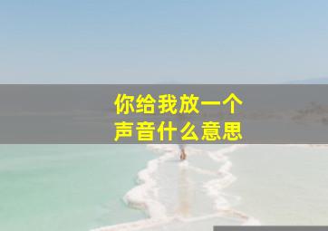 你给我放一个声音什么意思