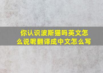 你认识波斯猫吗英文怎么说呢翻译成中文怎么写