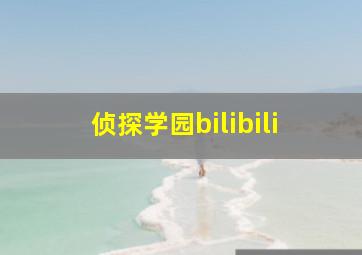 侦探学园bilibili