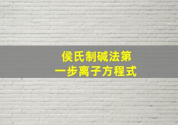 侯氏制碱法第一步离子方程式