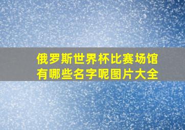 俄罗斯世界杯比赛场馆有哪些名字呢图片大全